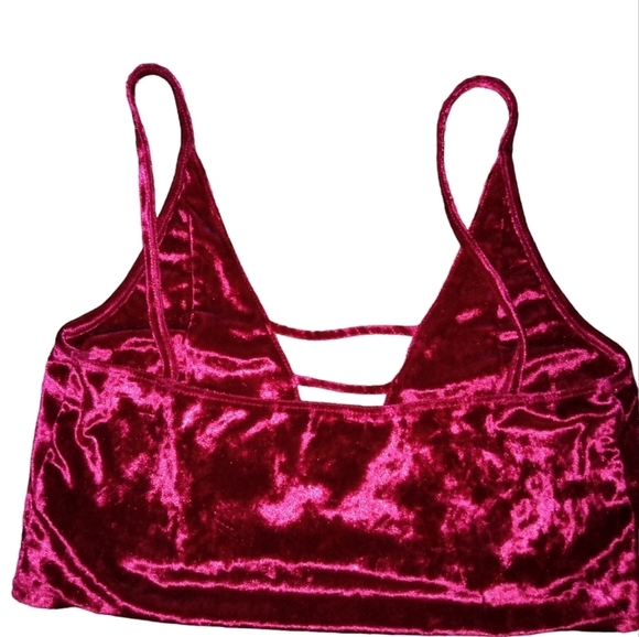 EARTHBOUND TRADING Co. burgundy crop top/bralette - Picture 2 of 4